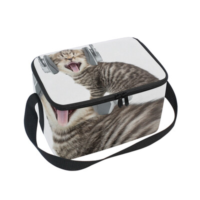 

Lunch Box Insulated Lunch Bag Large Cooler Singing Funny Cat Tote Bagfor Kids Men Women