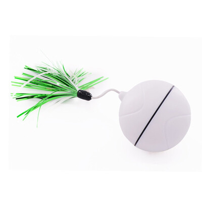 

Electronic Rolling Flash Ball USB Charging Pet Ball LED flash rolling cat toys Funny Feather Interactive Cat Toys For Puppy Dog