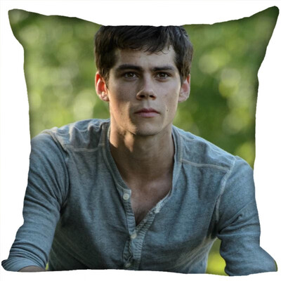 

Dylan Pillow Cover Bedroom Home Office Decorative Pillowcase Square Zipper Pillow Cases Satin Fabric No Fade