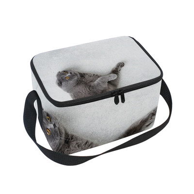 

ALAZA Lunch Box Insulated Lunch Bag Large Cooler Fold Cat Lying On White Background Tote Bag