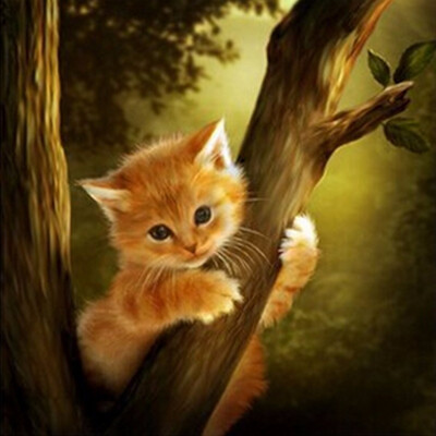 

Needlework diamond embroidery diy 5d diamond painting cross stitch Lovely cat rhinestone pasted home wall sticker gift 5471
