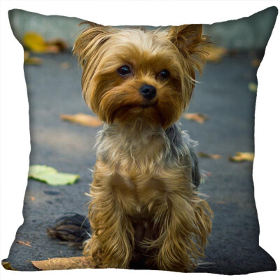 

Yorkshire Terrier Pillow Cover Bedroom Home Office Decorative Pillowcase Square Zipper Pillow Cases Satin Fabric No Fade