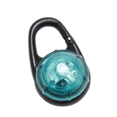 

Pet Collar Keychain Light Glow Pendant Dog Safety Flashing Blinker LED Water-resistant Night Lights