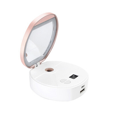 

LED Spray Hydration Makeup Mirror Light Skin Moisture Measure Power Bank Pocket Professional Vanity Lady Beauty Mirror Lamp