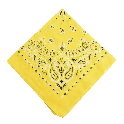 

Men Women Square Scarf Paisley Bandana Hair Band Neckerchief Hip Hop Kerchief Unisex Headwear