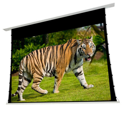 

T4WALR-1610 Widenscreen-Premium built-in tab tensioned motorized projection screen- Ambient light rejecting screen material ALR