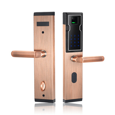 

Biometric Electronic Smart Door Lock Fingerprint Keyless Code Lock Smart with 4 Cards2 Mechanical Keys for Entry Office Home
