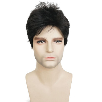 

StrongBeauty Manly Short Brown Mixed Blonde Fluffy Straight Full Bang Capless Heat Resistant Fiber Wig For Men COLOUR CHOICES