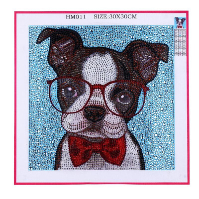 

5D DIY Special Shaped Diamond Painting Crossing Stitch Full Drill Crystal Rhinestone Embroidery Paintings Arts Crafts Gifts Home W