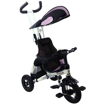 

4-in-1 Detachable Learning Baby Tricycle Stroller w Canopy Bag-Pink