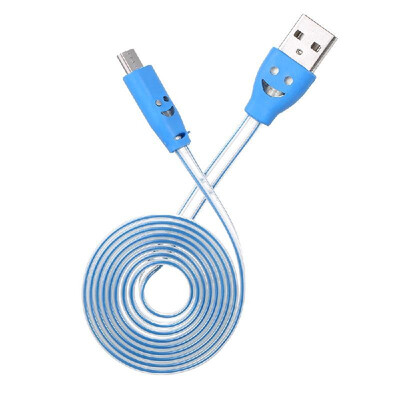 

Micro USB Charging Cable LED Lighting Noodle Cables Mobile Phone Data Cable Charger 1M