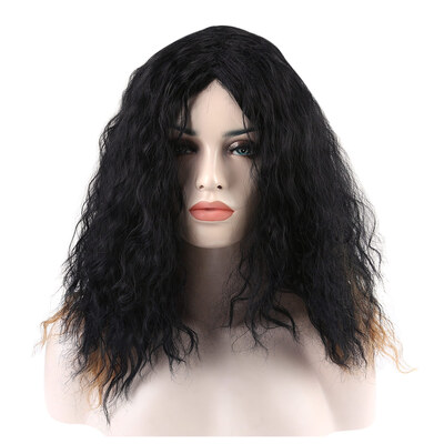 

Adiors Long Ombre Color Afro Curly High Temperature Fiber Wig
