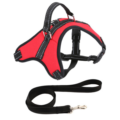

Dogs Halter Harness Soft Padded Reflective with traction rope
