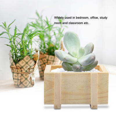 

Greensen Multifunctional Wooden Succulent Storage Box Organizer for Potted Plant Makeup Study Items