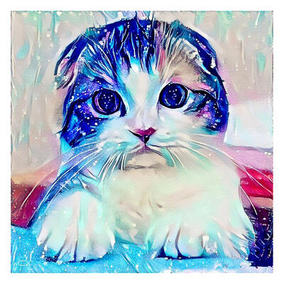 

5D DIY Diamond Painting Novelty Blue Cat Cross Stitch Embroidery Rhinestone