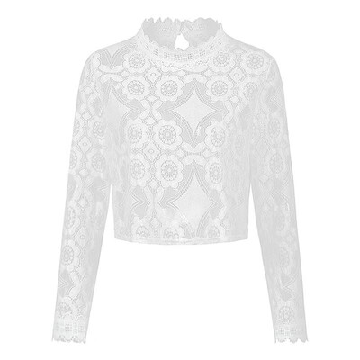 

Women Cover Up See Through Floral Lace Hollow Out High Neckline Long Sleeve Sexy Beach Blouse