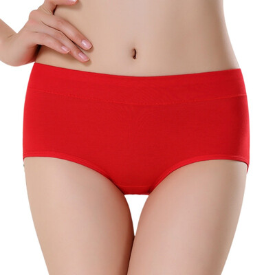 

Brand Underwear Women Sexy Transparent Breathable Lace Lingerie Panties ropa interior femenina Cheap Price High Waist Briefs