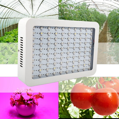 

1000W Full Spectrum Hydro LED Grow Light for Medical Plants Veg & Bloom Fruit EU Plug Grow Light Bulb Plant Grow Light