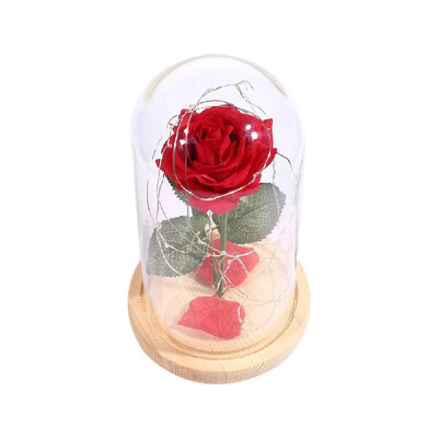 

Stimulation Rose Flower LED String Light with Glass Cover Remote Control 8 Modes Party Wedding Birthday Anniversary Gift