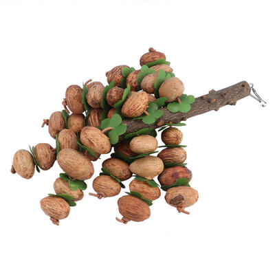 

Greensen Hanging Natural Fruit Core Chew Bite Grinding Beak Care Bird Toy Cages Decorative for Parrot