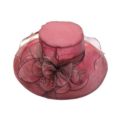 

Floral Organza Wide Brim Church Kentucky Derby Fascinator Lady Tea Party Sun Hat