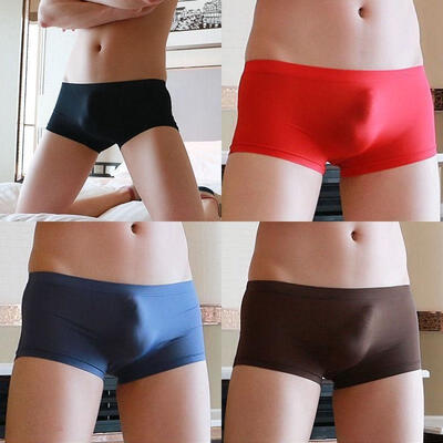 

Men&39s Sheer See Through Boxer Briefs Mesh Underwear Shorts Trunks Underpants