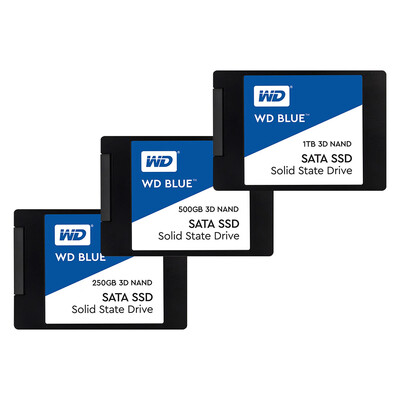 

Western Digital WD Blue 1TB PC SSD 3D NAND SATA3 6GBs 25 Inch Solid State Drive Hard Disk for PC LaptopWDS100T2B0A