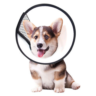 

Dream Bubble Elizabeth Circle Dog Collar Dog Head Set Cat Collar Pet Dog Collar Cat Head Cover Anti-Bite Circle Dog Supplies No1