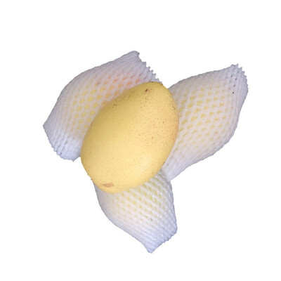 

YI WANG QING SHEN apple pear tomato duck egg fruit&vegetable net set epe pearl cotton net set 9863
