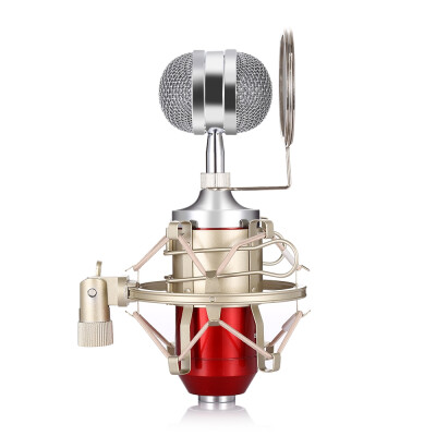 

LEIHAO BM - 8000 Professional Sound Studio Recording Condenser Microphone with 35mm Plug Stand Holder