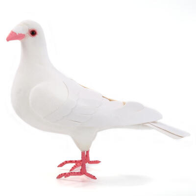 

Simulate Foam Pigeon Model Artificial Bird Home Garden Ornament Yard Decor