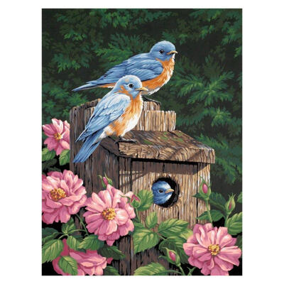 

5D DIY Full Drill Diamond Painting Bird Cross Stitch Embroidery Mosaic Kits