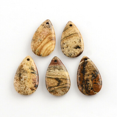 

Picture Jasper Gemstone Pendants Drop 33x19x555mm Hole 2mm