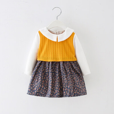 

Autumn Girl Dresses 18M-4Y Casual Flower Print Long Sleeve Fake 2Pcs Baby Girls Pageant Dress Kids Princess Dresses 2Colors