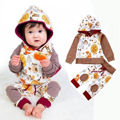 

Cute Animal Toddler Baby Boy Girl Kids Hooded TopsPants Outfits Set Tracksuit Christmas