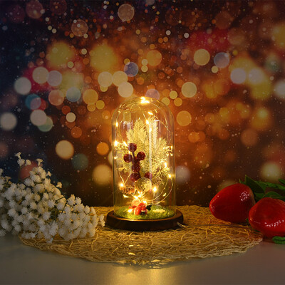

Gobestart Romantic Immortal Wire Lamp Christmas Micro Landscape Decoration