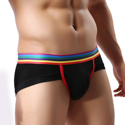 

Mens Sexy Low Rise Knickers Lingerie Underwear Breathable Bulge Pouch Briefs