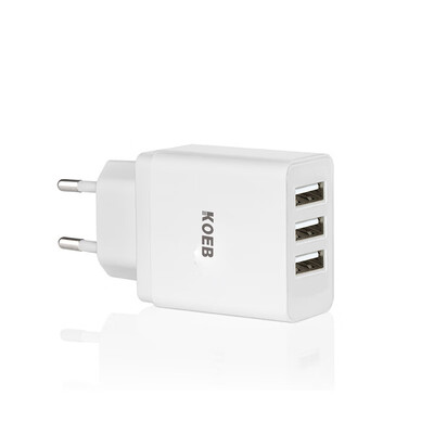 

Three-port charger 155W 3-port charger - European standard WSP-315U
