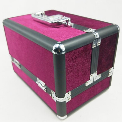

Portable cosmetic bag suitcases makeup beauty professional multi function cosmetology tattoo eyebrow box teacher manicure case
