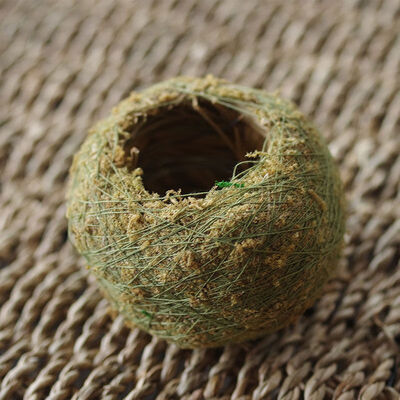 

Natural Moss Ball Green Sphagnum Moss Substrate House Room Home Decor