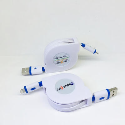 

Lightning To USB Cable 2m66ft Retractable USB Charging Cable For IPhone  Max X XR 8 7 6s 6 Plus SE 5 5s IPad IPod