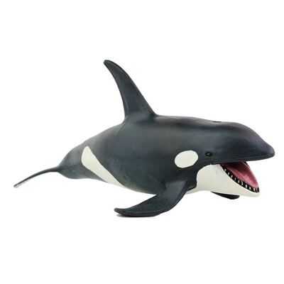 

Tailored Educational Science Toy Simulated Whale Model Kids Children Bath Toy