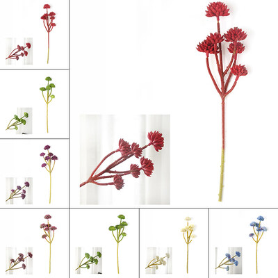 

Micro Landscape Simulation Succulents 6 Heads Houseleek Home Wedding Decor