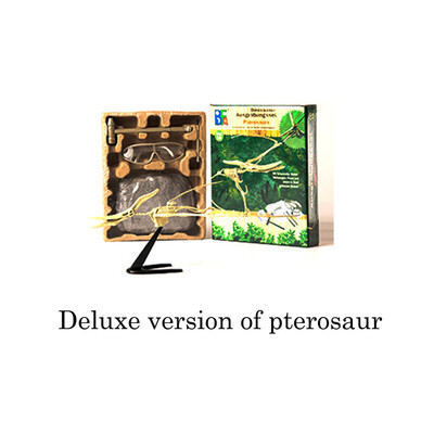 

Tailored Dinosaur Science Kit–Dig Up Dino Fossils -Tyrannosaurus rex