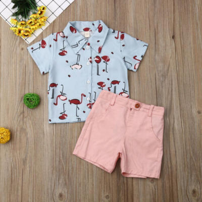 

Toddler Newborn Kids Baby Boy Clothes T-shirt TopsShort Pants 2PCS Outfits Sets