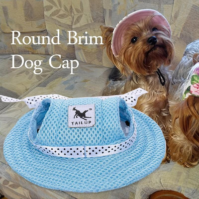 

Round Brim Dog Cap Pet Hat Mesh Prorous Sun Cap with Ear Holes for Medium Dogs Puppy
