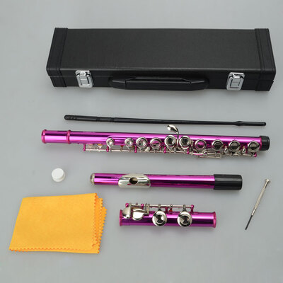 

Ktaxon Cupronickel C 16 Closed Holes Concert Band Flute for Student Rose Red
