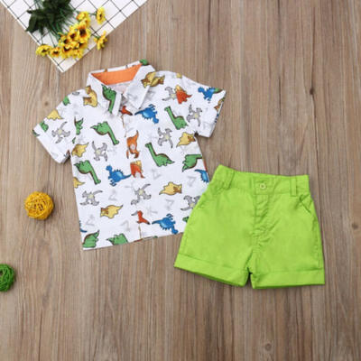 

US Toddler Kid Baby Boy Clothes Dinosaur Shirt Tops Shorts Pants Outfit 0-5Years