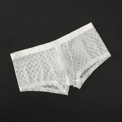 

Men Mesh Transparent Boxer Briefs Ultra-thin Low Rise Sexy Bulge Pouch Underwear
