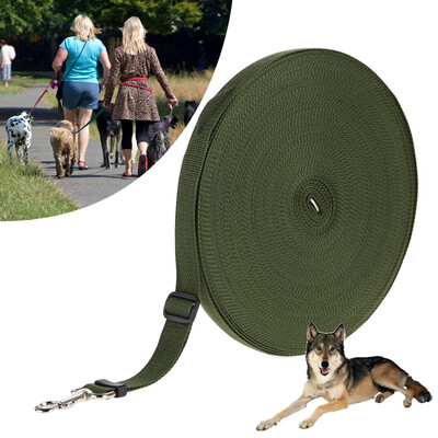 

Nylon Pet Training Collar Leash Walking Harness Collar Leader Rope for Dogs